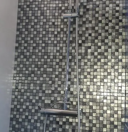 Cami De Merle * دينايا