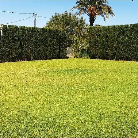 Cami De Merle * Denia